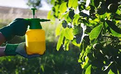 تصویر 4 از خرید و قیمت کود ارگانیک ویتامینه گیاهان + فروش صادراتی